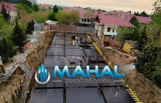 Sumqayıtda “Mahal” MTK tərəfindən ağacların kəsilməsinə dair cinayət işi başlanıb