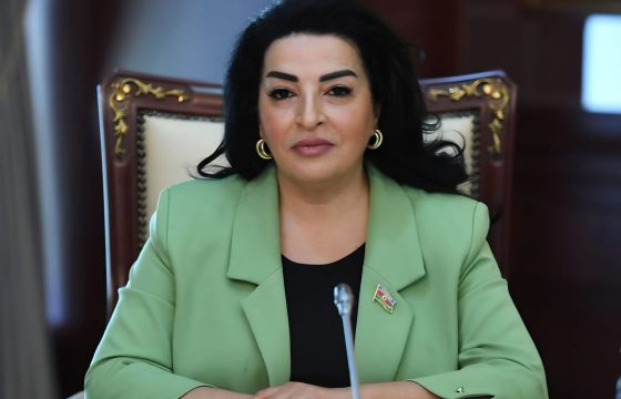 Fatma Yıldırım: “Tibb işçilərinin əməkhaqlarının artırılması səhiyyə sahəsinə göstərilən yüksək diqqətin göstəricisidir”
