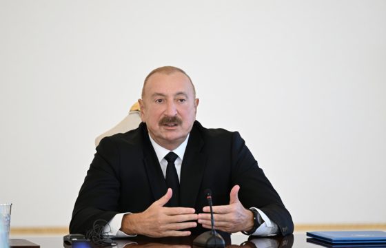 “Həmin dövlətlər məsələni həll etmək yox, uzatmaq istəyirdi”