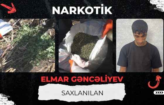 Polis Balakəndə külli miqdarda narkotik vasitə aşkarlayıb