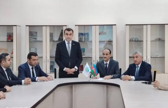 YAP Mingəçevirdə VIII Qurultaydan irəli gələn vəzifələri müzakirə edib – FOTO
