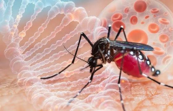 SON DƏQİQƏ:Daha bir təhlükəli virus YAYILIR-ÖLƏNLƏR VAR – TƏCİLİ