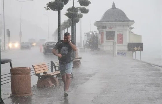 İstanbuldakı leysan Azərbaycana gəlir?